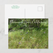 Carte Postale Floraisons de Californie : Lance d'Ithuriel (Devant / Derrière)