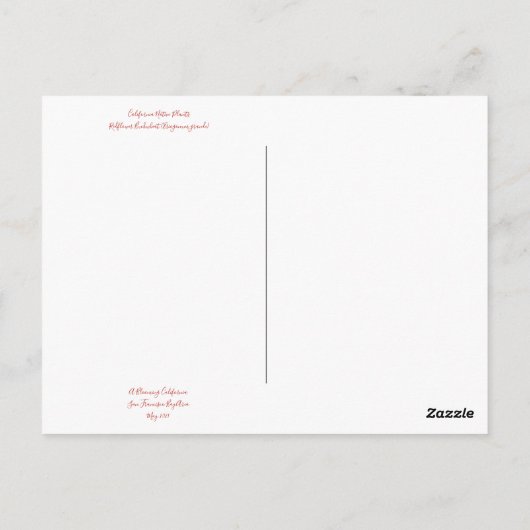 Carte Postale Floraisons de Californie : Pos de sarrasin rouge d (Dos)