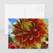 Carte Postale Floral (Devant / Derrière)