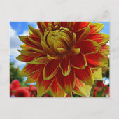 Carte Postale Floral (Devant)