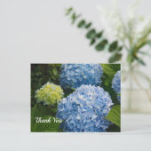 Carte Postale Floral Blue Hydrangea Merci photo (Debout devant)