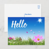 Carte Postale Floral Bonjour Daisy Papillon Fleurs sauvages amis (Devant / Derrière)