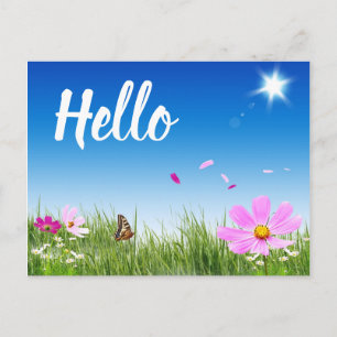 Carte Postale Floral Bonjour Daisy Papillon Fleurs sauvages amis