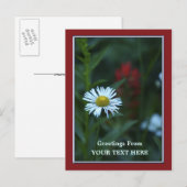 Carte Postale Floral de Blue White (Devant / Derrière)