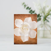 Carte Postale Floral de fleurs de Gardenia blanches (Debout devant)