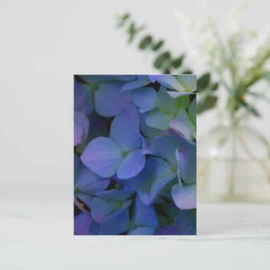 Carte Postale Floral de fleurs d'hydrangées bleu pourpre (Debout devant)