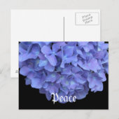Carte Postale Floral de la paix (Devant / Derrière)