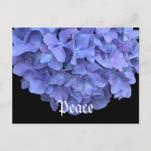 Carte Postale Floral de la paix (Devant)