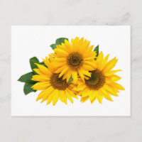 Floral Fleur de soleil jaune - Bonjour, Amour