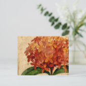 Carte Postale Floral III (Debout devant)