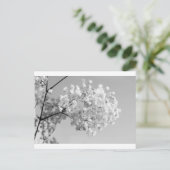 Carte Postale Floral noir et blanc (Debout devant)