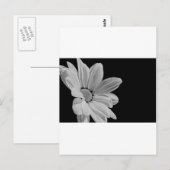 Carte Postale Floral paisible (Devant / Derrière)