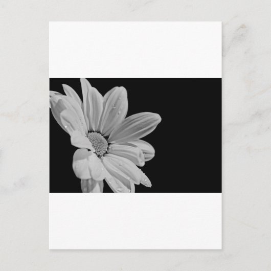 Carte Postale Floral paisible (Devant)