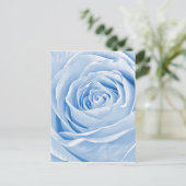 Carte Postale Floral Photo Dainty Rose bleu clair (Debout devant)