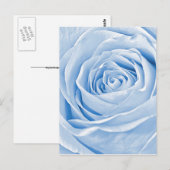 Carte Postale Floral Photo Dainty Rose bleu clair (Devant / Derrière)