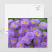 Carte Postale Floral pourpre (Devant / Derrière)