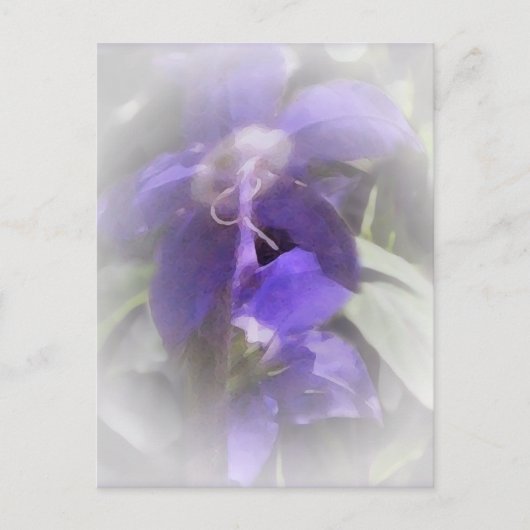 Carte Postale Floral Pretty (Devant)