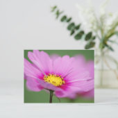 Carte Postale Floral rose (Debout devant)