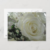 Carte Postale Floral rose (Devant / Derrière)