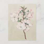 Carte Postale Floral rose clair (Devant)