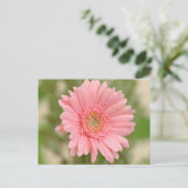 Carte Postale Floral rose Gerbera Daisy Fleur Bonjour Amour (Debout devant)