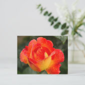 Carte Postale Floral Rose orange (Debout devant)