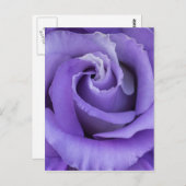 Carte postale Floral Rose violet (Devant / Derrière)