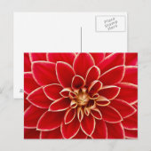 Carte postale Floral Rouge (Devant / Derrière)