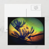 Carte postale Floral Sunset View (Devant / Derrière)