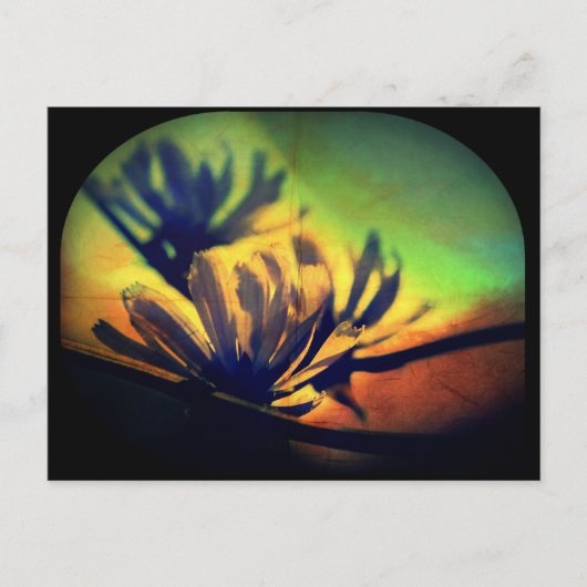 Carte postale Floral Sunset View (Devant)