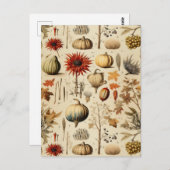 Carte Postale Floral Thanksgiving Motif Vintage (3) (Devant / Derrière)