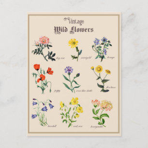 Carte Postale Floral vintage de fleurs sauvages victoriennes