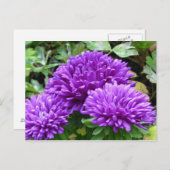 Carte postale florale (Devant / Derrière)