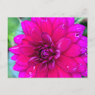 Carte postale florale