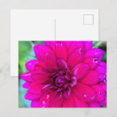 Carte postale florale (Devant / Derrière)