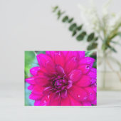 Carte postale florale (Debout devant)