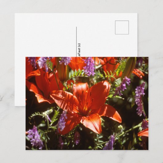 Carte postale florale (Devant / Derrière)