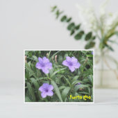 Carte postale florale (Debout devant)