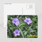 Carte postale florale (Devant / Derrière)