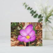 Carte postale florale (Debout devant)