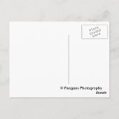 Carte postale florale (Dos)
