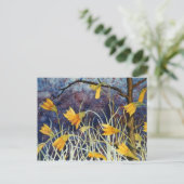 Carte postale florale (Debout devant)