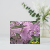 Carte postale florale 3 (Debout devant)