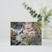Carte postale florale aux fleurs blanches (Debout devant)