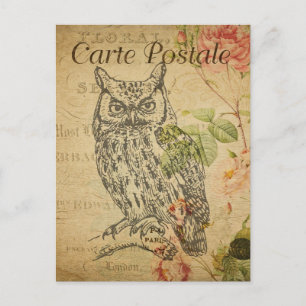 Carte Postale Florale De Chouette vintage