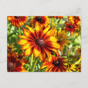 Carte postale florale de confleur brillant