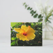 Carte postale florale de fleur d'hibiscus jaune (Debout devant)