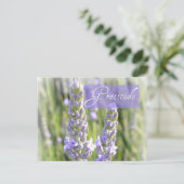 Carte postale florale de lavande de gratitude (Debout devant)