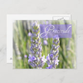 Carte postale florale de lavande de gratitude (Devant / Derrière)