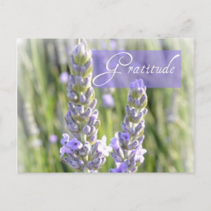Carte postale florale de lavande de gratitude
